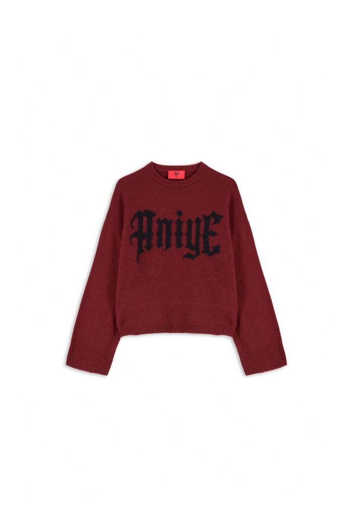 PULL ANIYE - Rouge noir